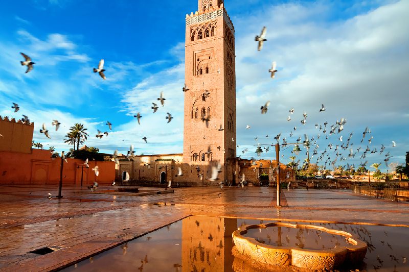 Beleza de Marrakech